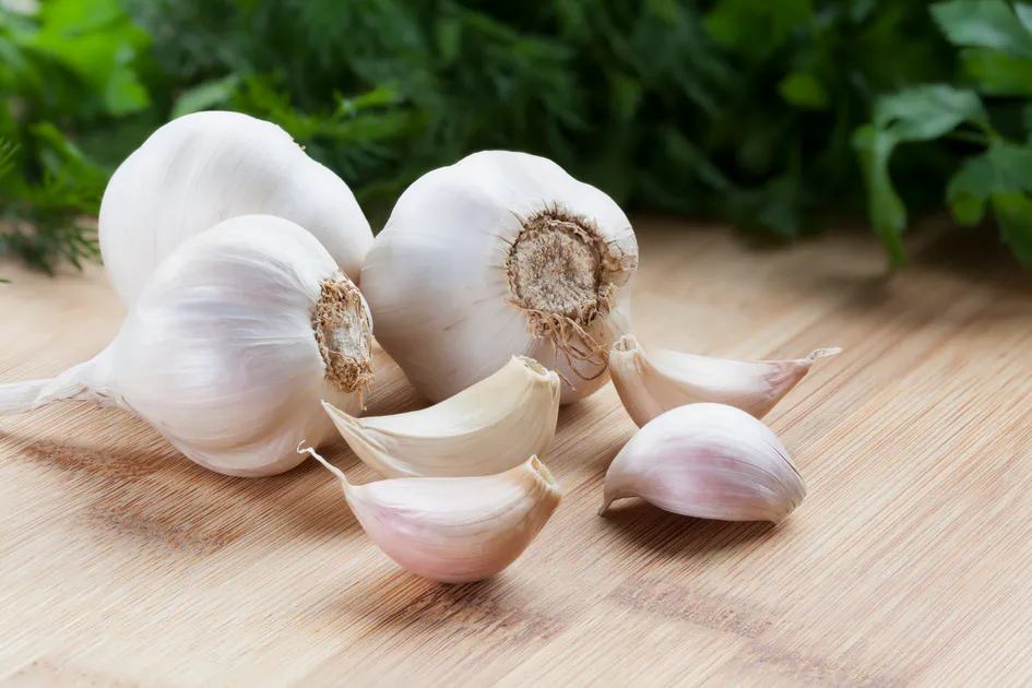 سیر همدان؛ گنجینۀ طلایی از خواص درمانی و طعم بی‌نظیر